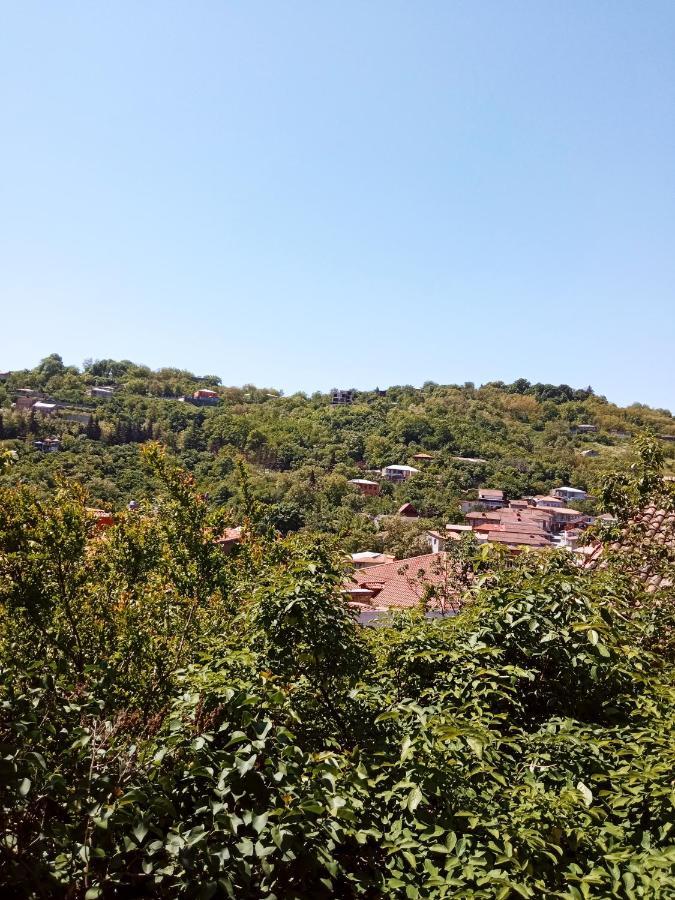 Kizikis Kari Hotel Sighnaghi Exterior photo