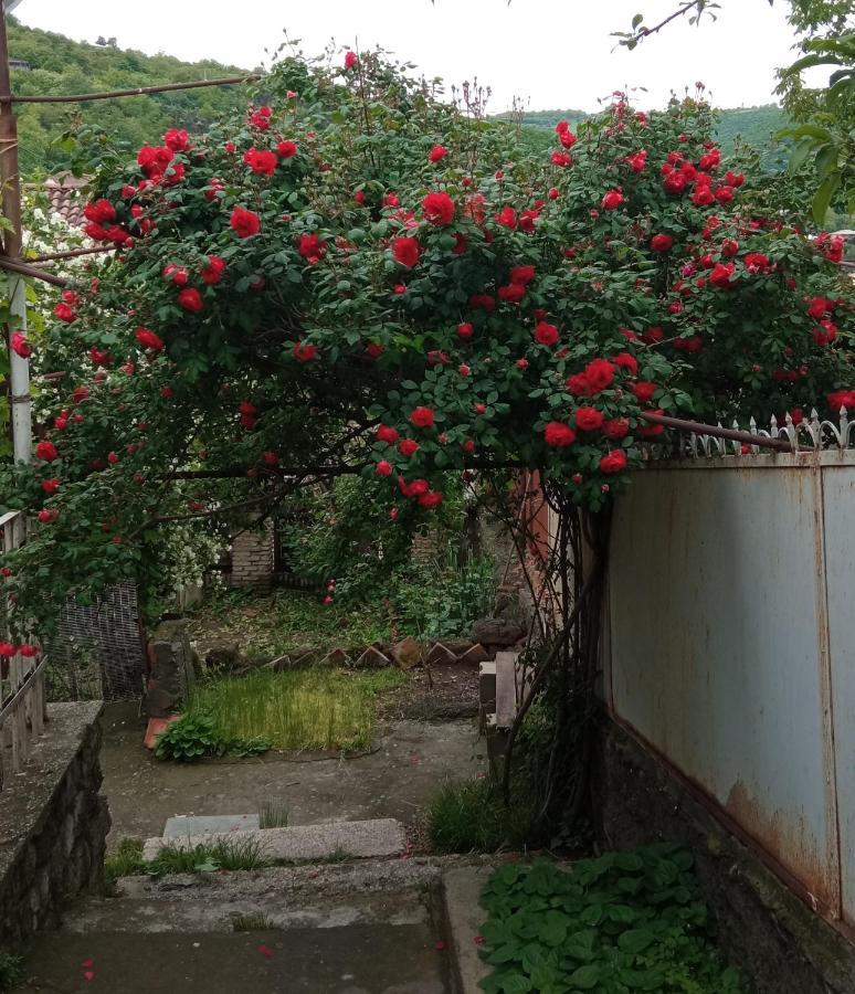 Kizikis Kari Hotel Sighnaghi Exterior photo